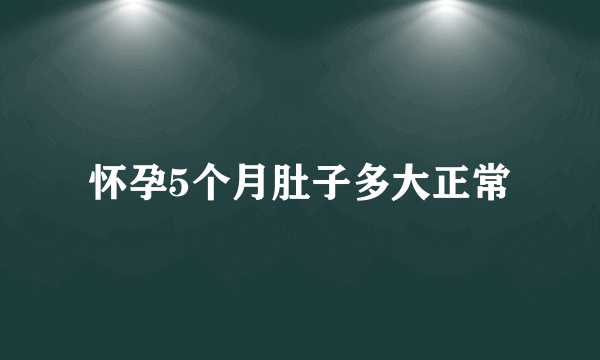 怀孕5个月肚子多大正常