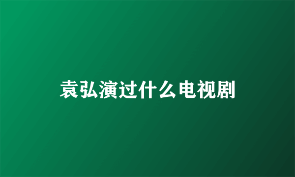 袁弘演过什么电视剧