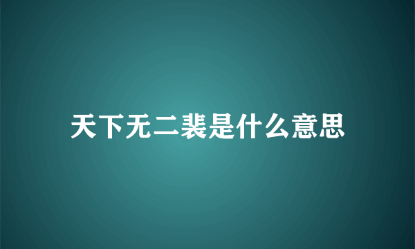 天下无二裴是什么意思