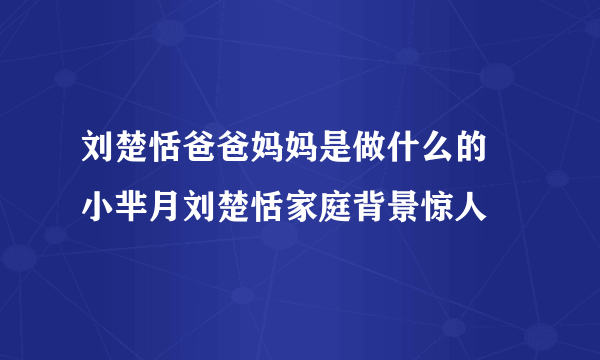 刘楚恬爸爸妈妈是做什么的 小芈月刘楚恬家庭背景惊人