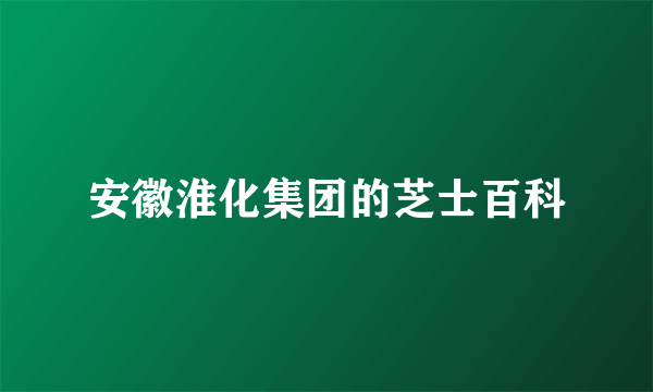 安徽淮化集团的芝士百科