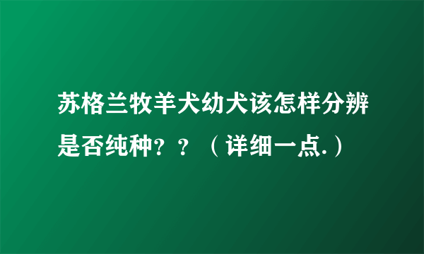 苏格兰牧羊犬幼犬该怎样分辨是否纯种？？（详细一点.）