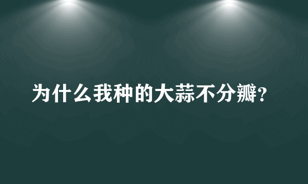 为什么我种的大蒜不分瓣？