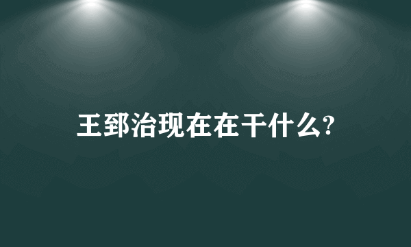 王郅治现在在干什么?