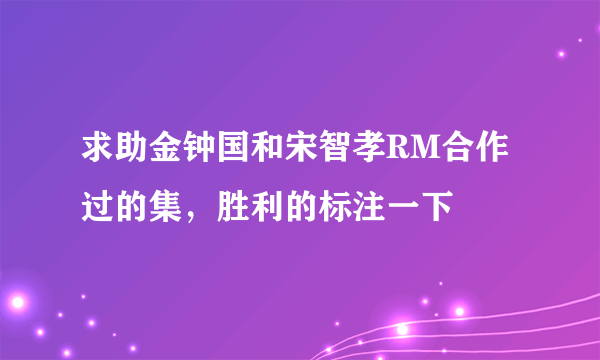 求助金钟国和宋智孝RM合作过的集，胜利的标注一下