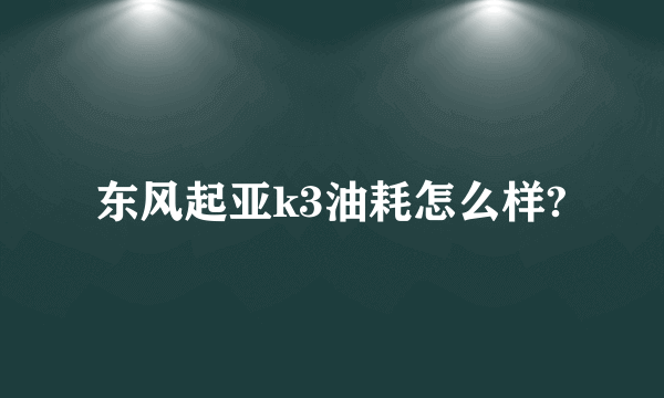 东风起亚k3油耗怎么样?