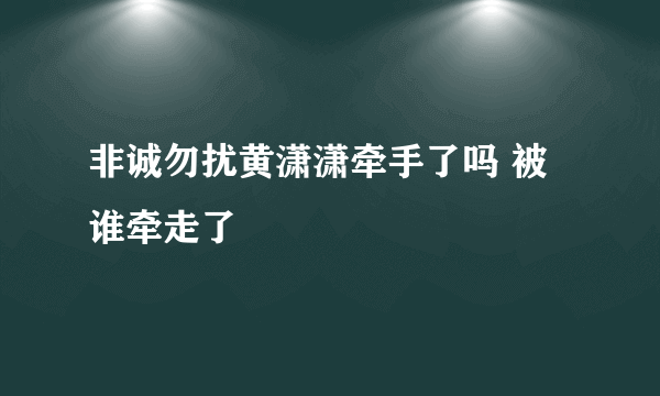 非诚勿扰黄潇潇牵手了吗 被谁牵走了