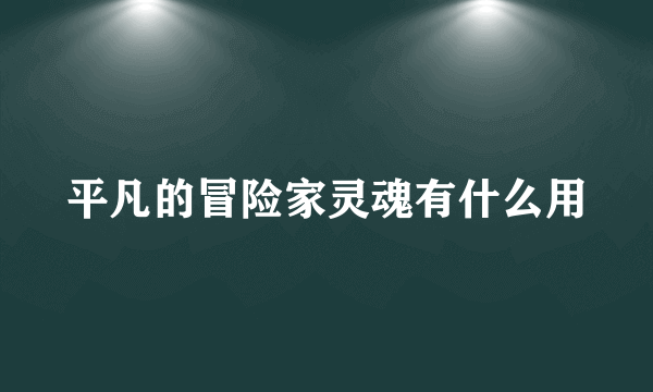 平凡的冒险家灵魂有什么用