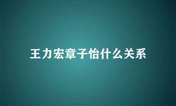 王力宏章子怡什么关系