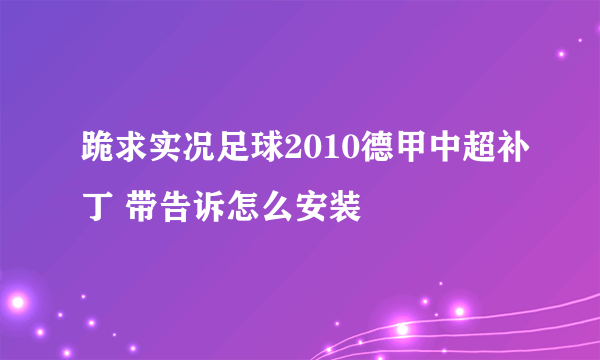 跪求实况足球2010德甲中超补丁 带告诉怎么安装