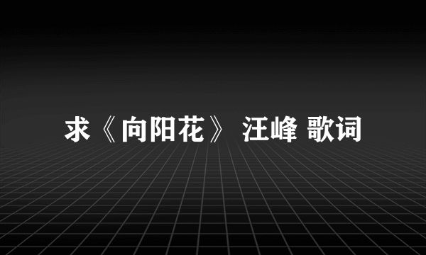 求《向阳花》 汪峰 歌词