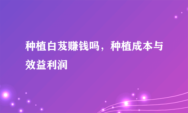 种植白芨赚钱吗，种植成本与效益利润