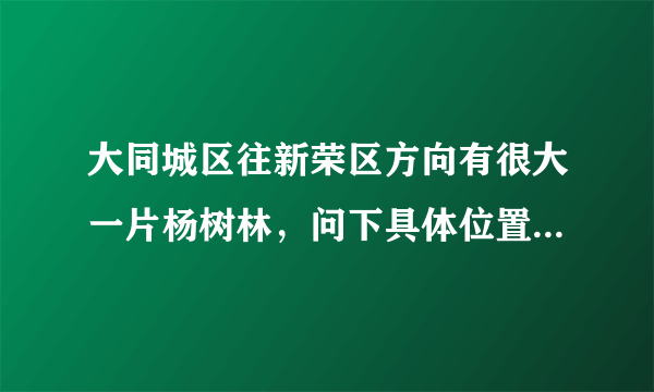 大同城区往新荣区方向有很大一片杨树林，问下具体位置在哪里？怎么去？