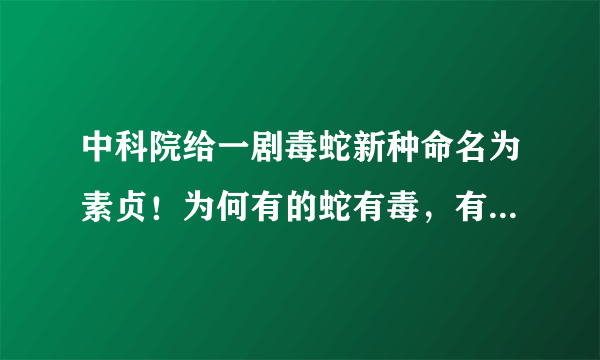 中科院给一剧毒蛇新种命名为素贞！为何有的蛇有毒，有的蛇却不含毒性？