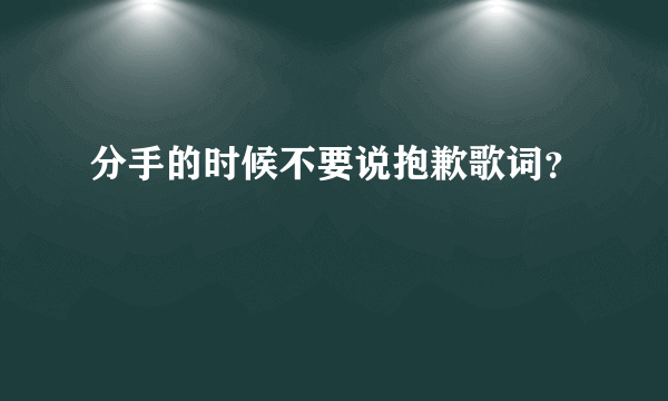 分手的时候不要说抱歉歌词？