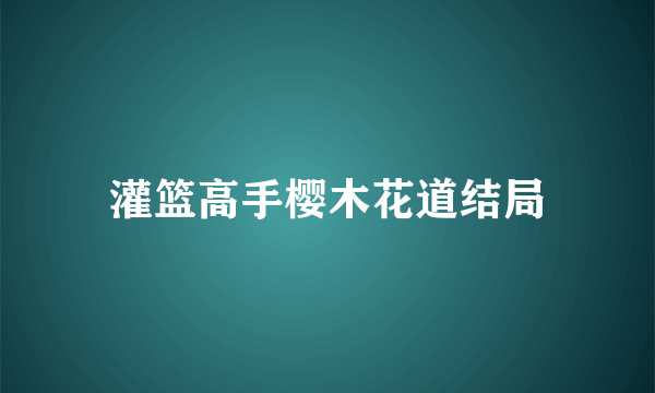 灌篮高手樱木花道结局