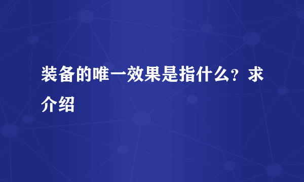 装备的唯一效果是指什么？求介绍