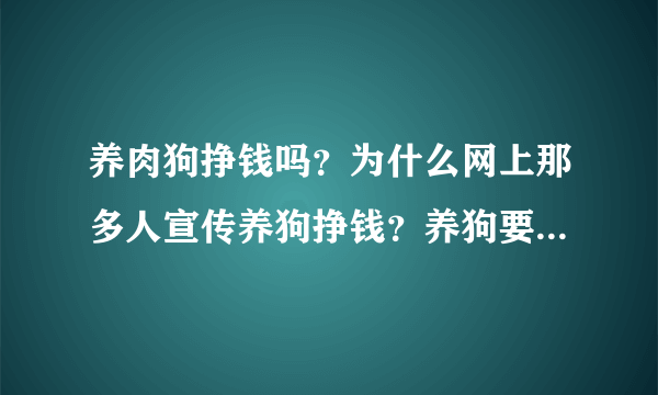 养肉狗挣钱吗？为什么网上那多人宣传养狗挣钱？养狗要注意什么？