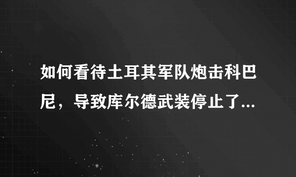 如何看待土耳其军队炮击科巴尼，导致库尔德武装停止了对伊斯兰国组织的围剿？