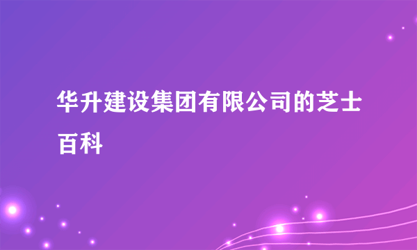 华升建设集团有限公司的芝士百科