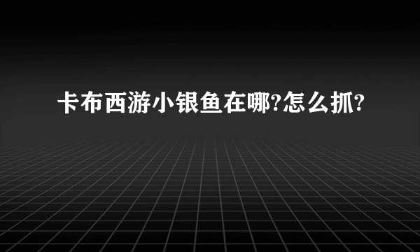 卡布西游小银鱼在哪?怎么抓?