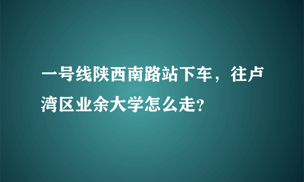 一号线陕西南路站下车，往卢湾区业余大学怎么走？