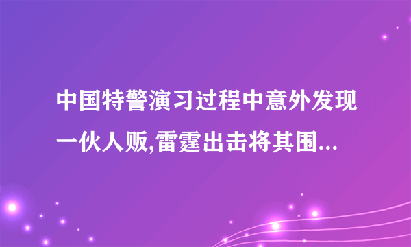 中国特警演习过程中意外发现一伙人贩,雷霆出击将其围剿是什么电影？