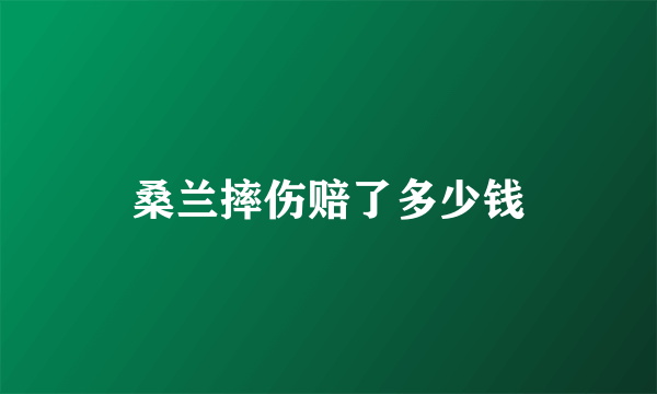 桑兰摔伤赔了多少钱