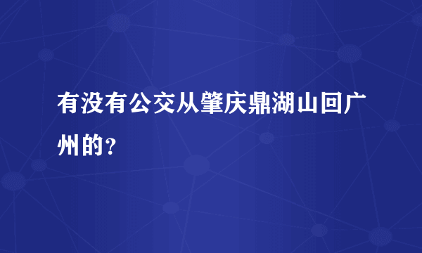 有没有公交从肇庆鼎湖山回广州的？