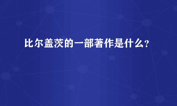 比尔盖茨的一部著作是什么？