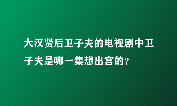 大汉贤后卫子夫的电视剧中卫子夫是哪一集想出宫的？