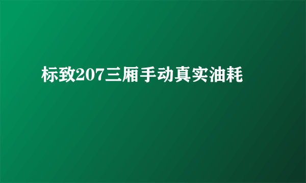 标致207三厢手动真实油耗