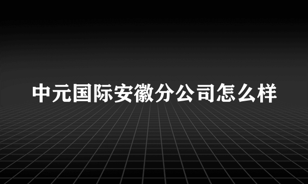 中元国际安徽分公司怎么样