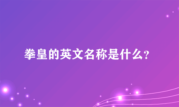 拳皇的英文名称是什么？