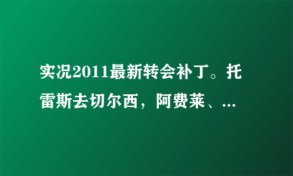 实况2011最新转会补丁。托雷斯去切尔西，阿费莱、桑切斯、小法来巴萨的。