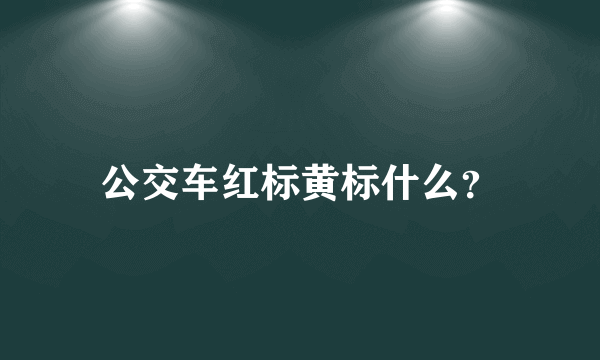 公交车红标黄标什么？