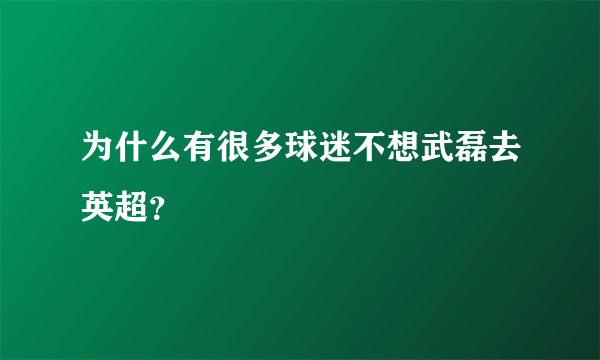 为什么有很多球迷不想武磊去英超？