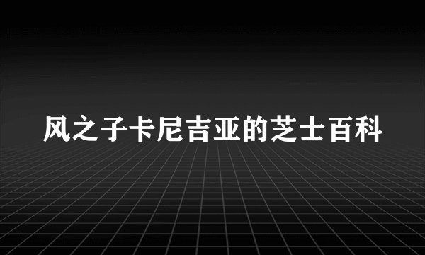 风之子卡尼吉亚的芝士百科