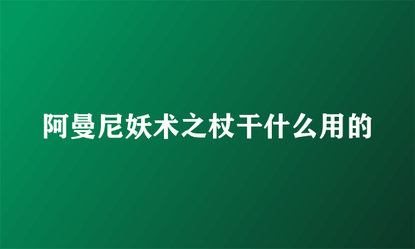 阿曼尼妖术之杖干什么用的