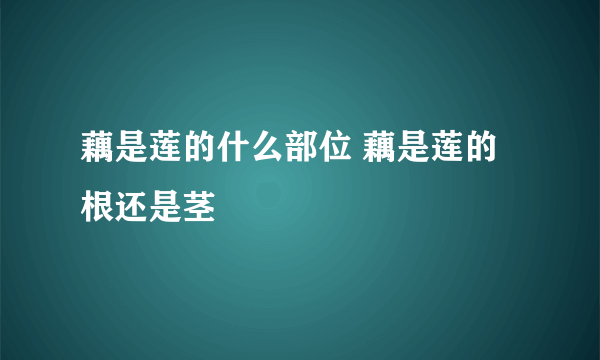 藕是莲的什么部位 藕是莲的根还是茎