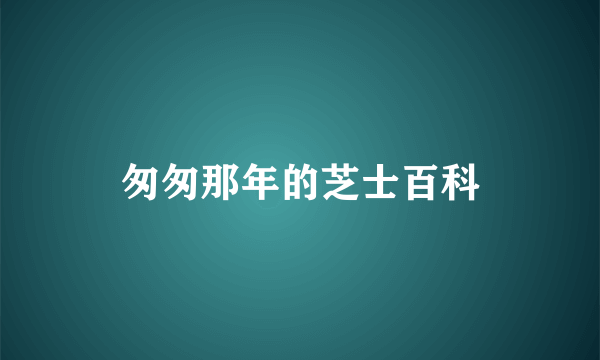 匆匆那年的芝士百科