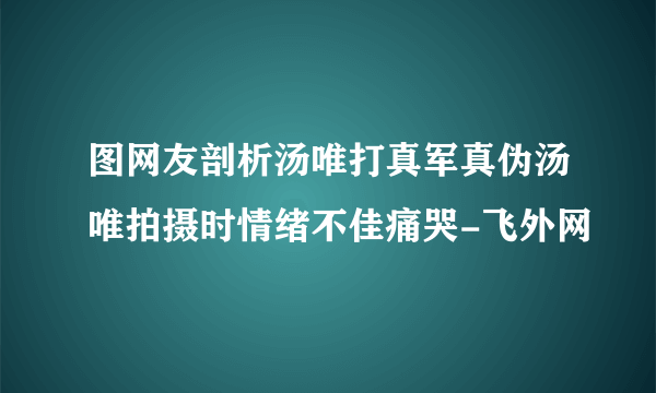 图网友剖析汤唯打真军真伪汤唯拍摄时情绪不佳痛哭-飞外网