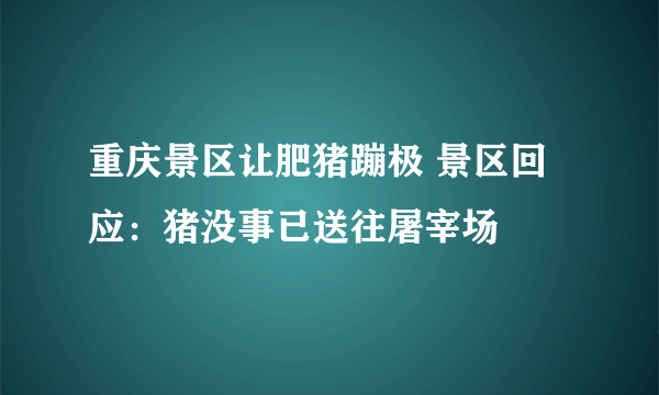 重庆景区让肥猪蹦极 景区回应：猪没事已送往屠宰场