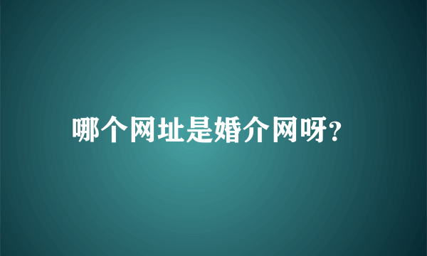 哪个网址是婚介网呀？