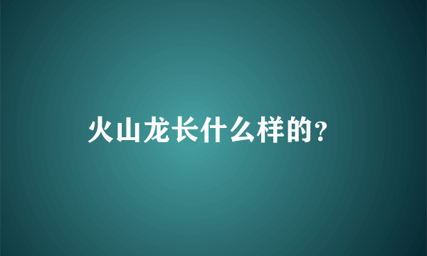 火山龙长什么样的？