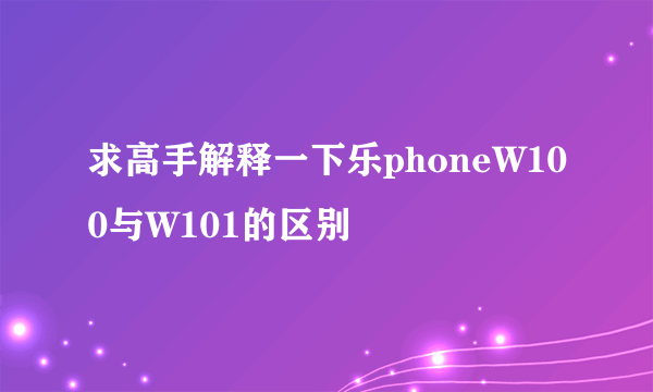 求高手解释一下乐phoneW100与W101的区别