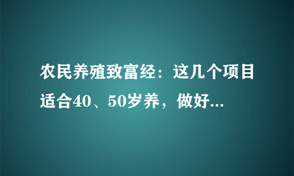 农民养殖致富经：这几个项目适合40、50岁养，做好了一年轻松收入几十万，推荐一下