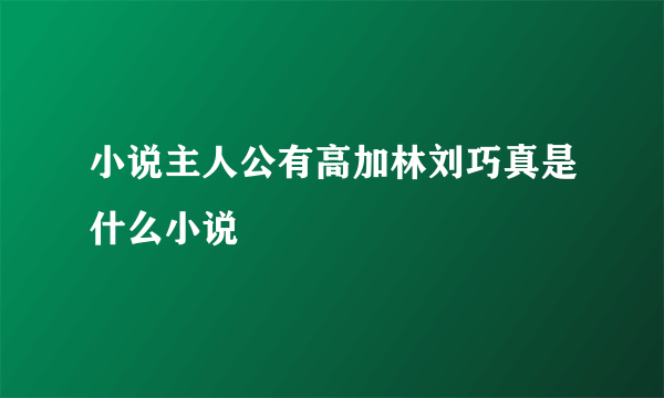 小说主人公有高加林刘巧真是什么小说