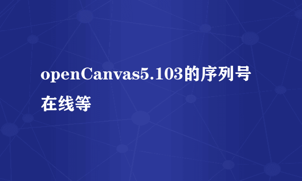 openCanvas5.103的序列号 在线等