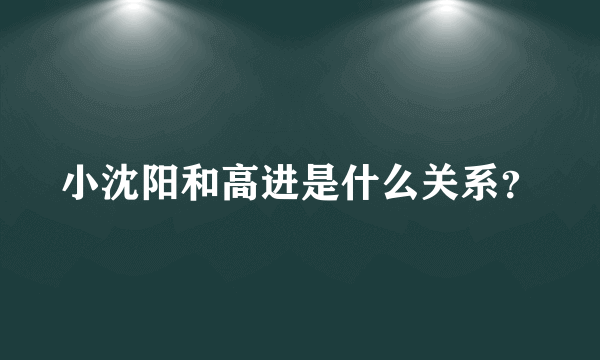 小沈阳和高进是什么关系？